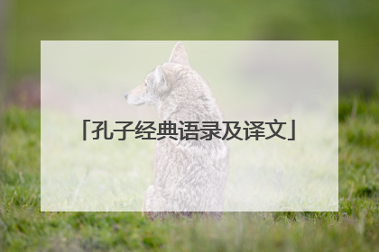 孔子经典语录及译文