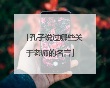 孔子说过哪些关于老师的名言
