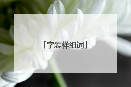 字怎样组词
