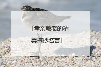 孝亲敬老的精美摘抄名言