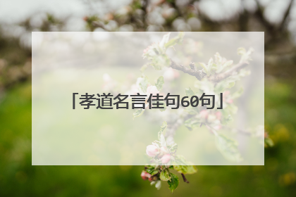 孝道名言佳句60句