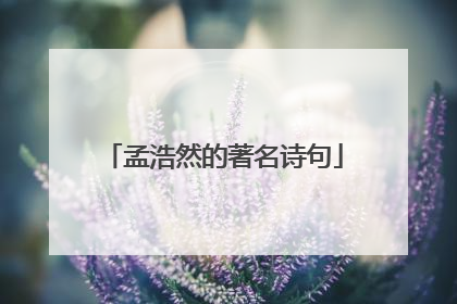 孟浩然的著名诗句