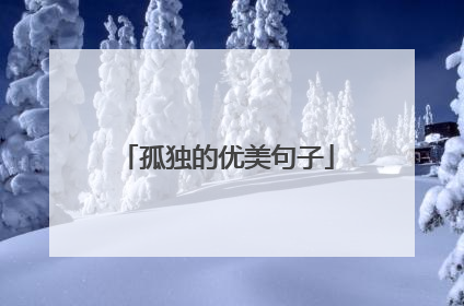 孤独的优美句子