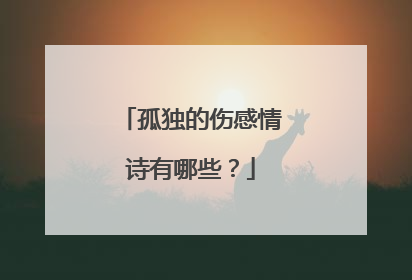 孤独的伤感情诗有哪些?