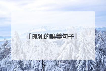 孤独的唯美句子