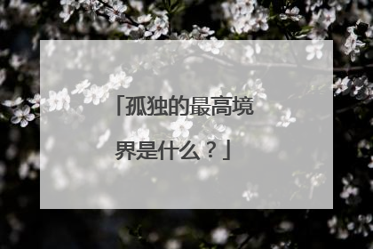 孤独的最高境界是什么?