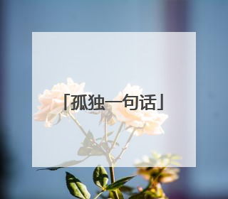 孤独一句话