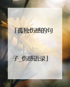 孤独伤感的句子_伤感语录