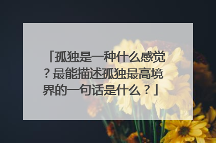 孤独是一种什么感觉？最能描述孤独最高境界的一句话是什么？