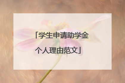 学生申请助学金个人理由范文