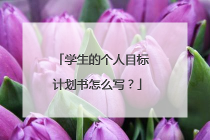 学生的个人目标计划书怎么写？