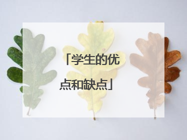 学生的优点和缺点