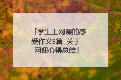 学生上网课的感受作文5篇_关于网课心得总结