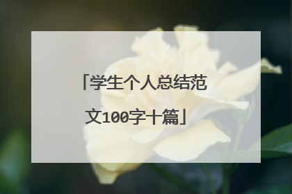 学生个人总结范文100字十篇