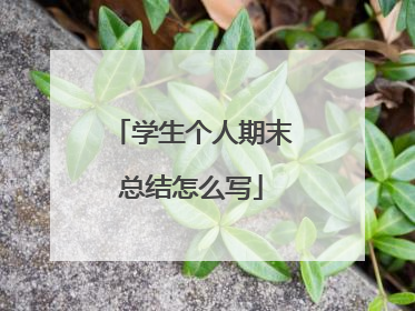 学生个人期末总结怎么写