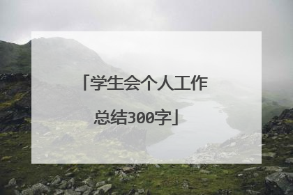 学生会个人工作总结300字