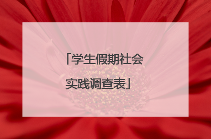 学生假期社会实践调查表