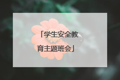 学生安全教育主题班会