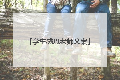学生感恩老师文案