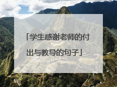 学生感谢老师的付出与教导的句子