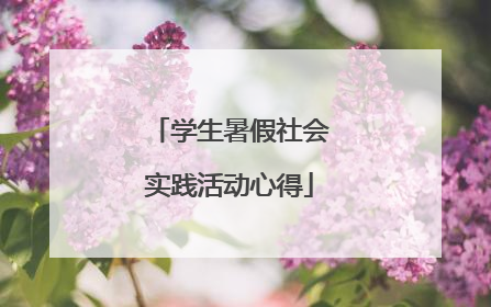 学生暑假社会实践活动心得