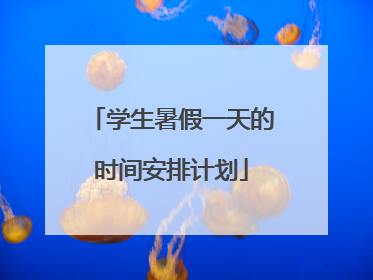 学生暑假一天的时间安排计划