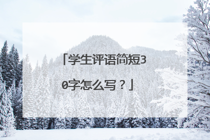 学生评语简短30字怎么写？