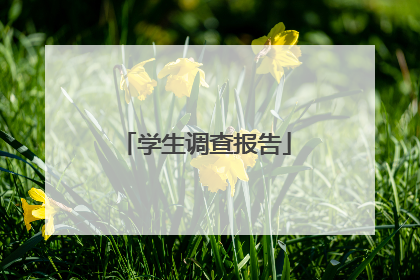 学生调查报告