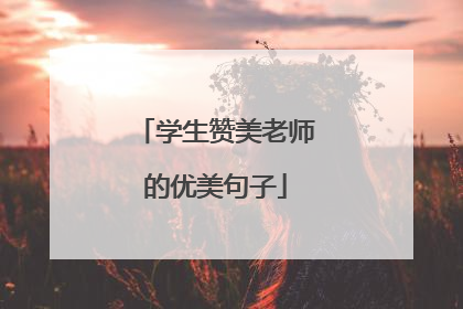 学生赞美老师的优美句子