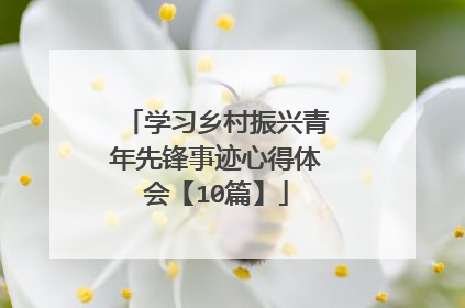 学习乡村振兴青年先锋事迹心得体会【10篇】