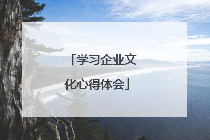 学习企业文化心得体会
