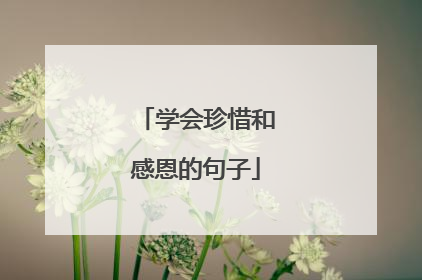 学会珍惜和感恩的句子