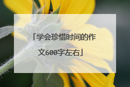 学会珍惜时间的作文600字左右