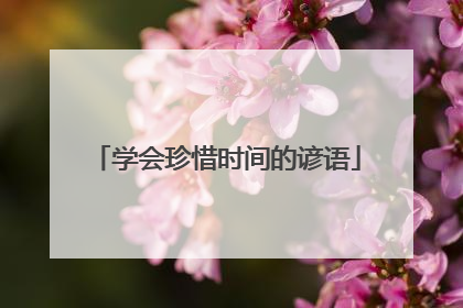 学会珍惜时间的谚语