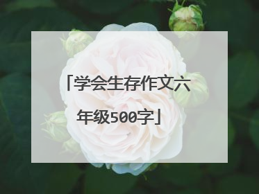 学会生存作文六年级500字