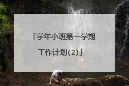 学年小班第一学期工作计划(2)