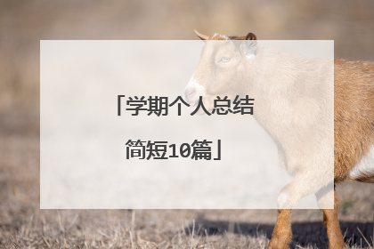 学期个人总结简短10篇
