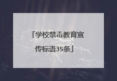 学校禁毒教育宣传标语35条