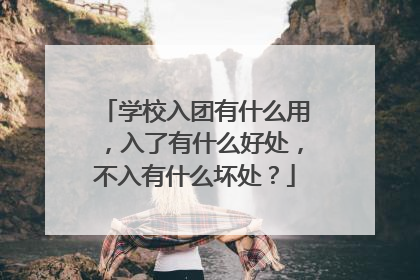 学校入团有什么用，入了有什么好处，不入有什么坏处？