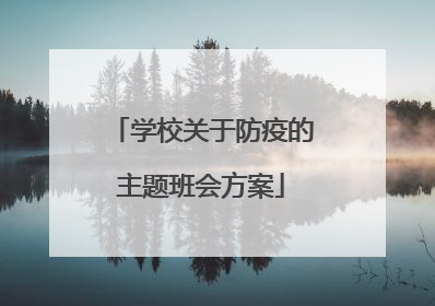 学校关于防疫的主题班会方案