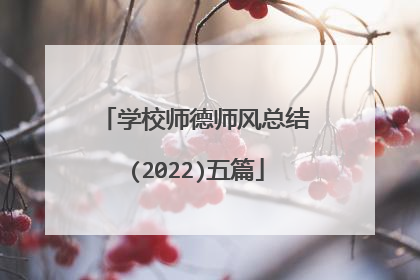 学校师德师风总结(2022)五篇