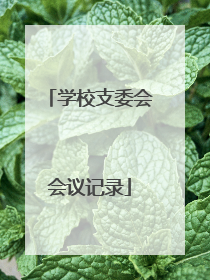 学校支委会会议记录