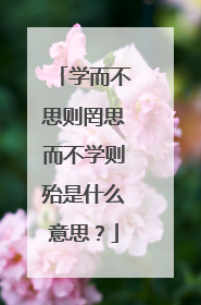 学而不思则罔思而不学则殆是什么意思?