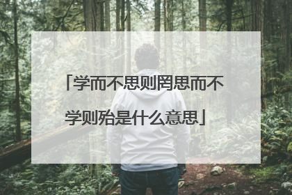 学而不思则罔思而不学则殆是什么意思