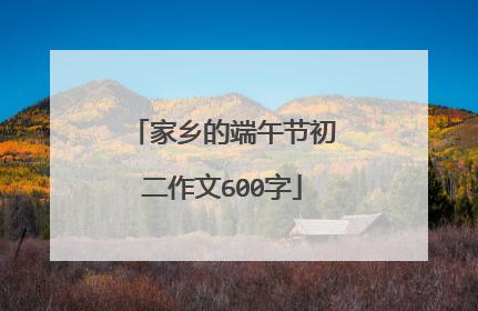 家乡的端午节初二作文600字
