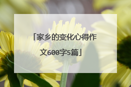 家乡的变化心得作文600字5篇