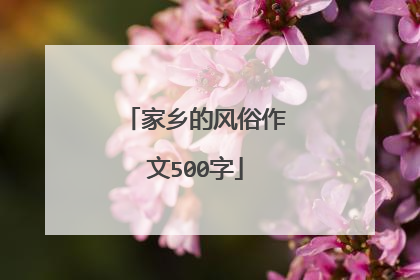 家乡的风俗作文500字