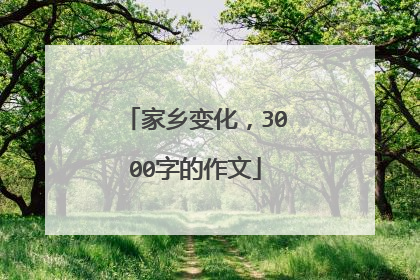 家乡变化，3000字的作文