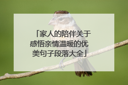 家人的陪伴关于感悟亲情温暖的优美句子段落大全