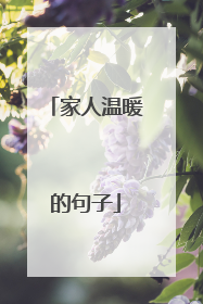 家人温暖的句子